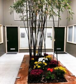 ICAN Intervention Center for Autism Needs