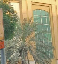 ABLE UK (Advanced Behavioural Learning Environment)