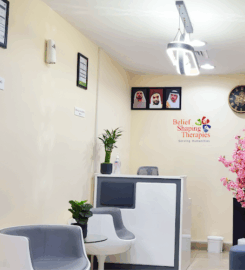 Belief Shaping Therapies