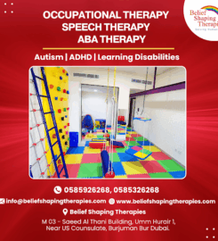 Belief Shaping Therapies