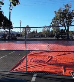 Spread Your Wings, LLC