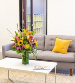 Development Is Child’s Play, Cupertino