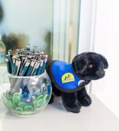 Development Is Child’s Play, Cupertino