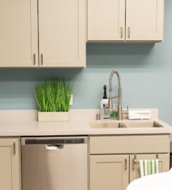 Development Is Child’s Play, Cupertino