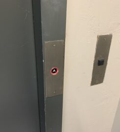 Progressive Pediatric Therapy of TX