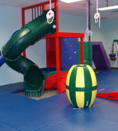 TOP Pediatric Therapy