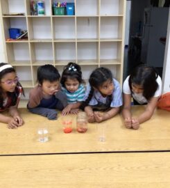 The Genius Kids Club