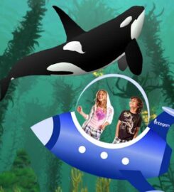 Camp Integem: AI, Holographic AR, Coding, Robotics, STEM, Animation, Art & Game Design at Fremont