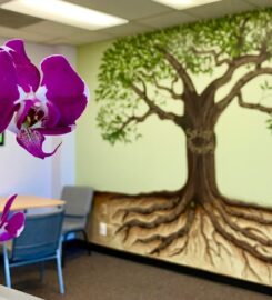 Social Thinking-Stevens Creek