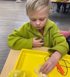 Pacific Autism Center for Education