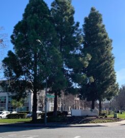 San Andreas Regional Center