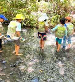 Leapstart After School & Summer Camps