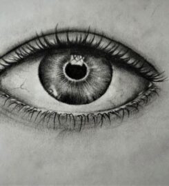 Kids FanBase Summer Camp