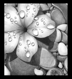 Kids FanBase Summer Camp