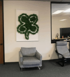 Chang & Associates Behavior Consulting