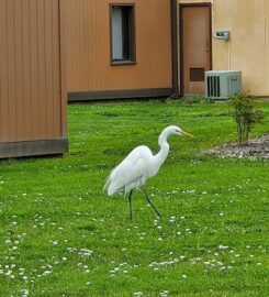 California School For the Deaf, Fremont