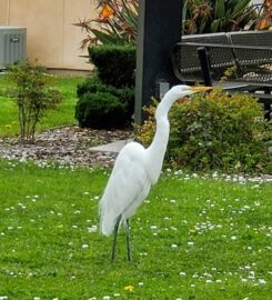 California School For the Deaf, Fremont