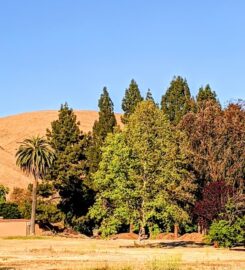 California School For the Deaf, Fremont