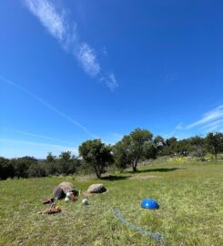 Sprout Outdoor Pediatric Occupational Therapy