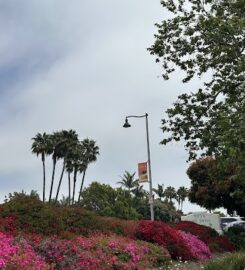 Dr. Adham Malaty – Santa Barbara World Class Psychiatry