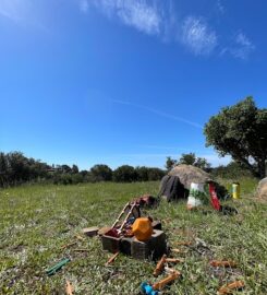 Sprout Outdoor Pediatric Occupational Therapy