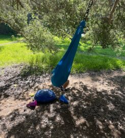 Sprout Outdoor Pediatric Occupational Therapy