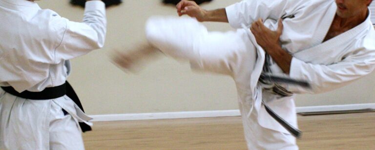 Silicon Valley Karate