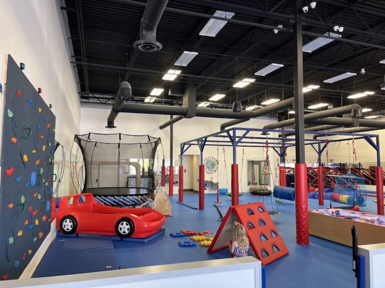 We Rock The Spectrum Kids Gym – Plano