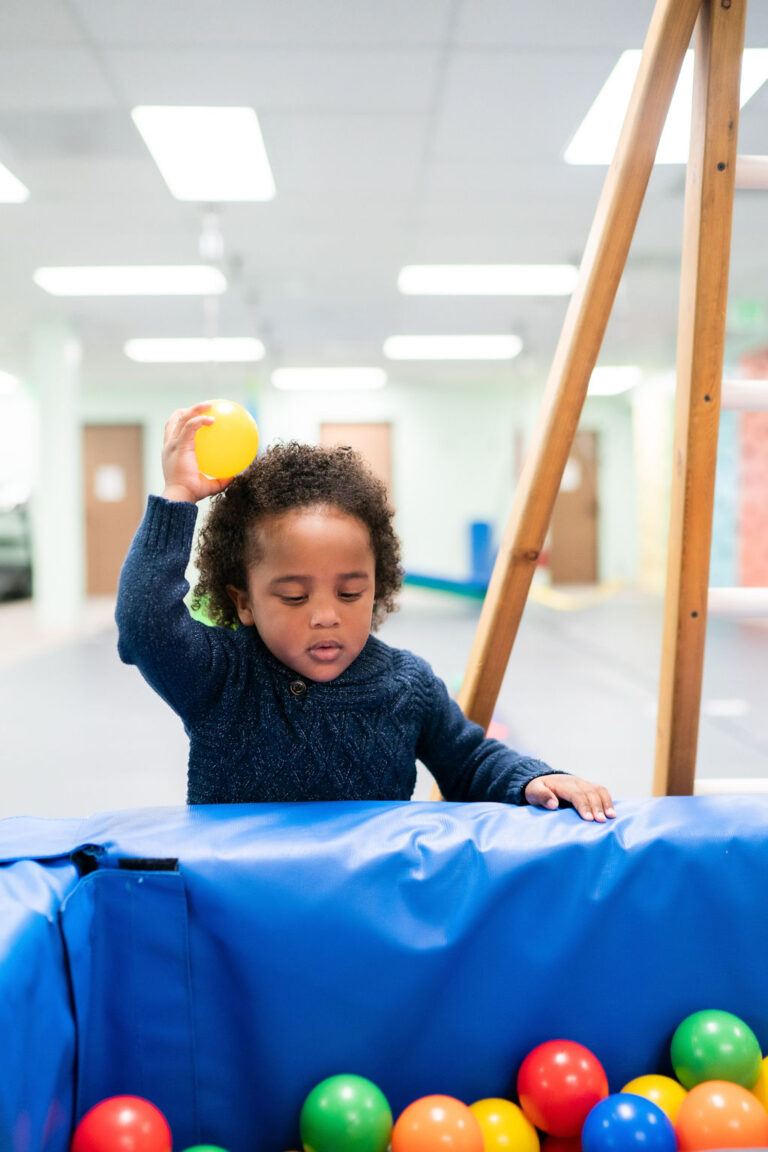 Milestone Pediatric Therapy, PC