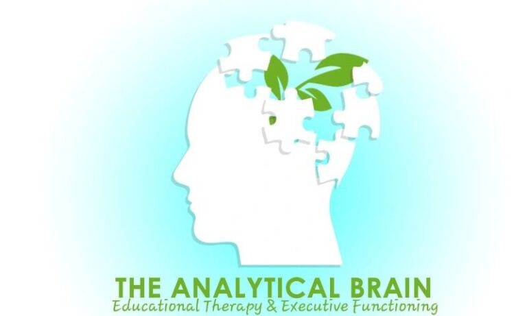 The Analytical Brain – Educational Therapy