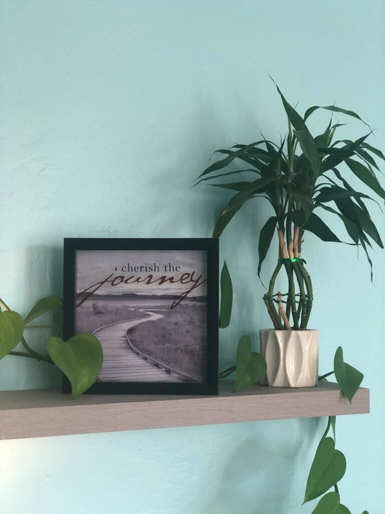 The Art of Learning