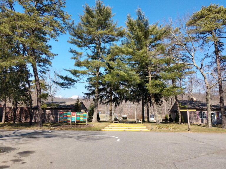 New Country Day Camp