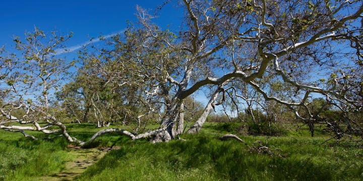 Livermore Area Recreation and Park District