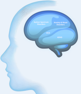 Spectrum Neuroscience and Treatment Institute