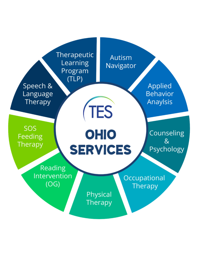 TES Therapy