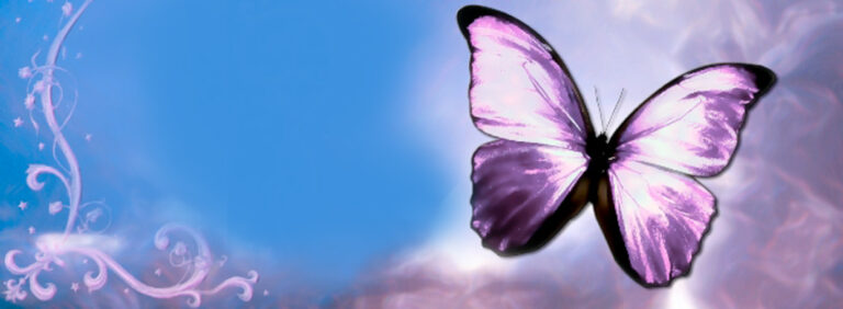 Transitions for the Developmentally Disabled