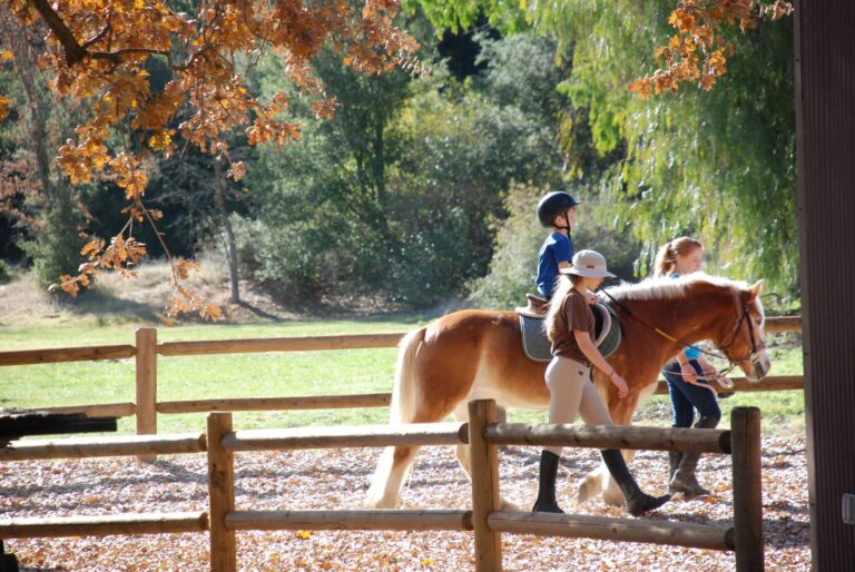 Ride On Therapeutic Horsemanship