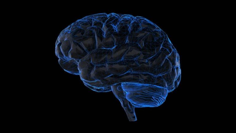 Comprehensive Neurocognitive Assessments