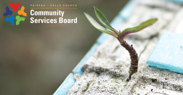 Fairfax-Falls Church Community Services Board