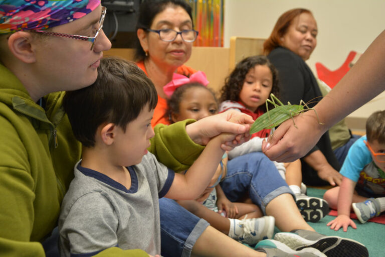 Rise School of Houston