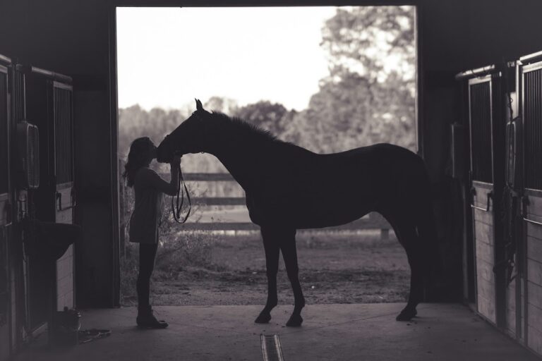 Golden Hill Equestrian