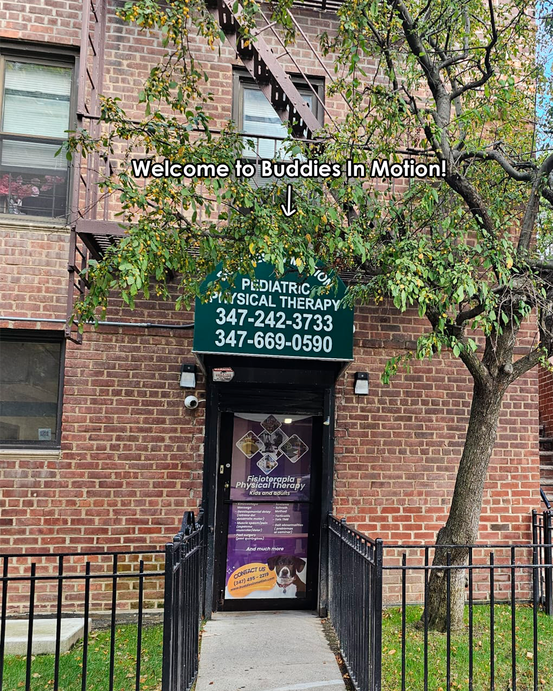 Buddies In Motion Pediatric and adult Physical Therapy
