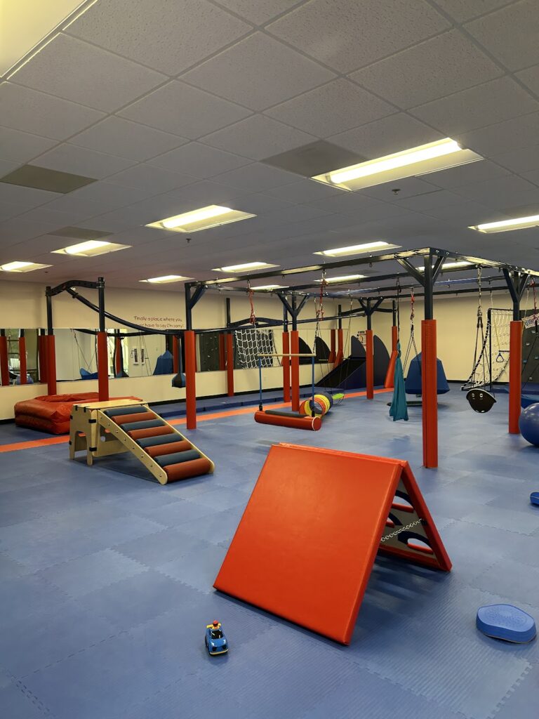 We Rock The Spectrum – Alpharetta | Indoor Play Gym