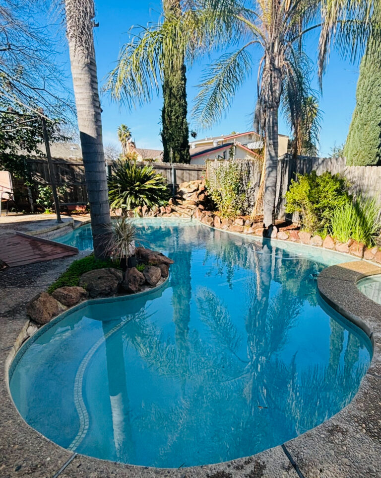 Little Seals Swim School
