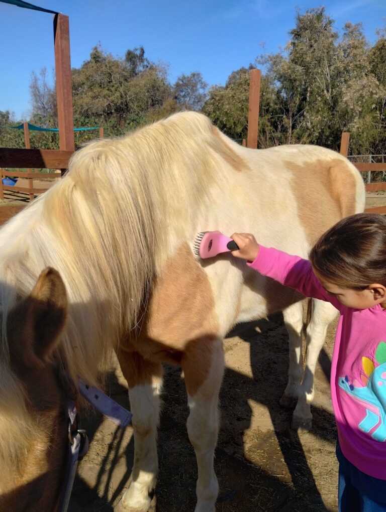 Healing Hands Valley Ranch