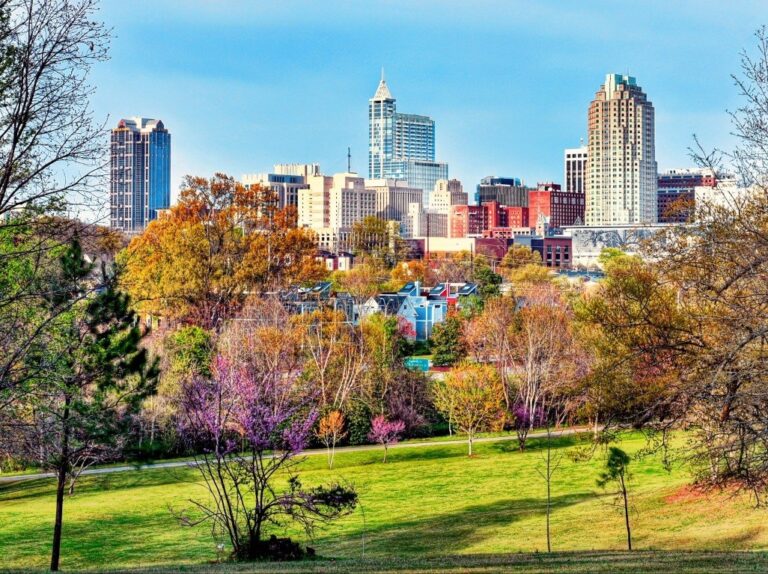 Apogee Behavioral Medicine – Raleigh