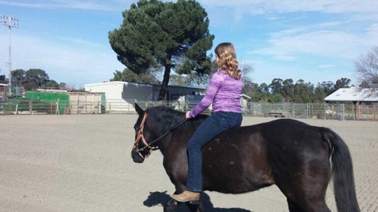 Double Hearts Riding and Rescue