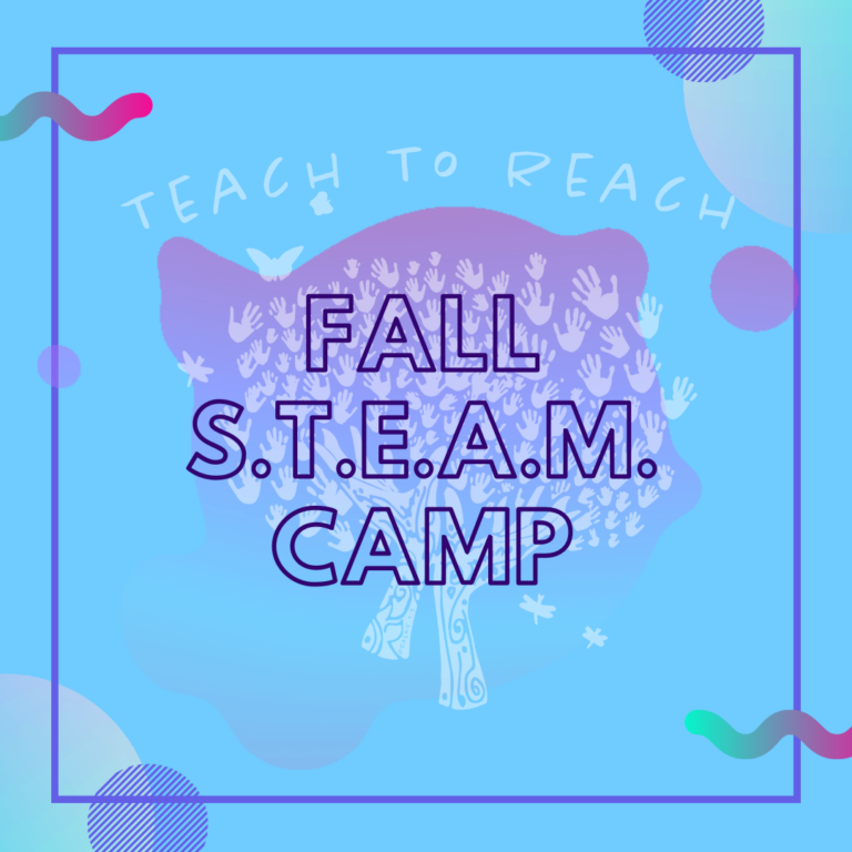 Teach to Reach LLC