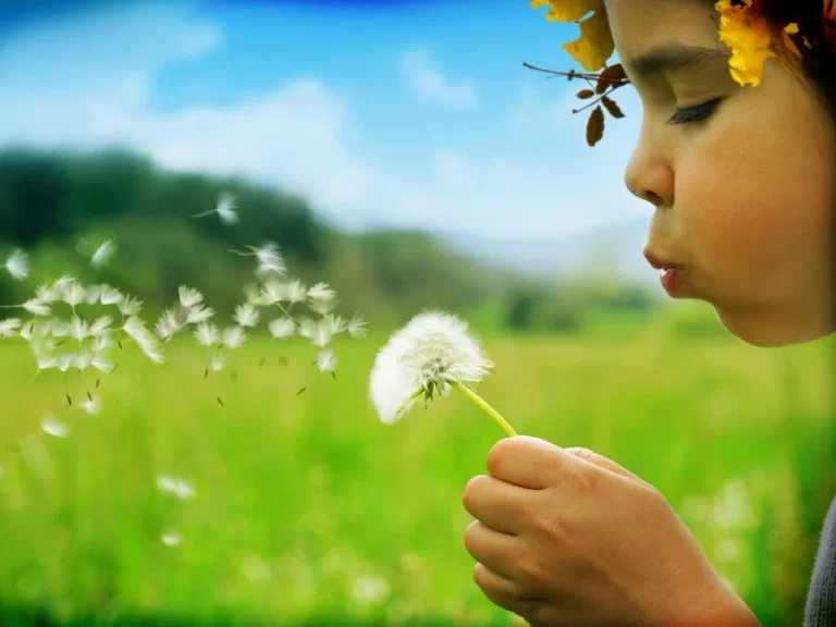 Loudoun Pediatric Speech Services